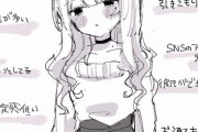 【画像】「こういうのでいいんだよ」な女の子、イラスト化されるｗｗｗｗ