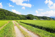 田舎住みJ民がご近所の画像を貼ってワイを癒してくれるスレ