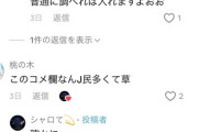 【悲報】TikTokのコメント欄、地獄