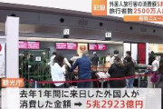 昨年の訪日外国人2507万人　韓国人が696万人で最多、訪日外国人の10人に3人が韓国人　台湾420万人、中国243万人、香港211万人、米国205万人
