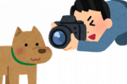 【画像】イッヌさん「お、カメラやんけ!映ったろ!ｗ」←真顔で草www