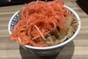 人気プロレスラーさん、牛丼に紅生姜を盛りすぎて炎上→吉野家に「どれくらい入れてもいいのか」を直撃取材した結果ｗｗｗｗｗ