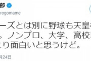 河野防衛大臣「野球も日本シリーズとは別にノンプロ、大学、高校まで混ぜて天皇杯をやればいいのに。CSより面白いと思うけど」