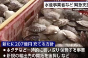 岸田首相「日本の水産業を守り抜くため責任しっかり果たす」輸入停止めぐり新たに207億円の緊急支援策