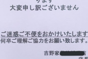 【ポケモンGO】吉野家チケット、初日にトラブル！ちゃんと貰えた人はメダルが追加されてるぞ