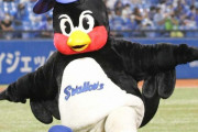 ここ3年の東京ヤクルトスワローズの貯金推移w.w.w.w.w.w.w.w