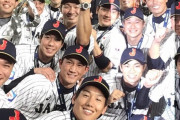 プレミア12で1番評価を上げた侍ジャパン選手は誰？（※上げ幅の大きい選手）