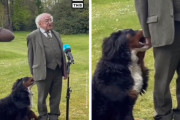 アイルランド大統領のワンちゃん、大統領のお話中にも関わらず話題をかっさらってしまう