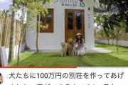 【悲報】ベトナムの富豪YouTuber、100万円の犬小屋を建ててしまうwxywxywxywxywxywxywxywxywxy