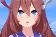 【ウマ娘】初詣で凧見上げる顔が好き。