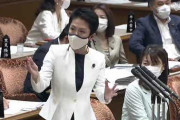 【恥の上塗り】立憲民主党・蓮舫さん、クラウド発言を支援者の擁護に便乗して言い訳をするもやっぱりわかってないと突っ込まれるｗｗｗ
