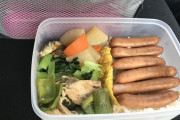 【画像】33歳一人暮らし独身おじさんの本日のお弁当はこちらですｗｗｗｗｗｗ