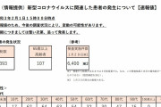【完全収束】東京都、新たなコロナ感染者「393人」へ…もうこれ、緊急事態宣言は解除でGoto再開で春節ウェルカム、オリンピックすら可能じゃない？