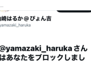 【悲報】善良なミリマスPさん『山崎はるか：CD先行ないの？CD積ませてよ』「山崎はるかさんマジでやめてくれませんか」と実況ツイートしたところ声優本人にブロックされてしまう