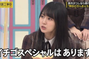 【乃木坂46】賀喜遥香『イチゴスペシャルは食べたことがあります』