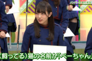 土田晃之さん、ラジオでリスナーの飼ってるニワトリの名前「ベリカ」に反応。欅坂46渡辺梨加のあだ名「ぺーちゃん」の由来を紹介【日曜のへそ】