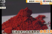 【速報】米国「動物実験により発がん性の懸念、赤色3号を使用禁止」伊東消費者担当相「人間では確認できていないので使用OK、諸外国の動向も踏まえ検討する」
