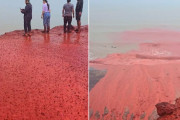 イランの島の海が真っ赤に染まる、いったい何が起きているのか？
