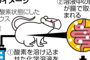 【画像】科学者「マウスに肛門から酸素吸収させたろ！」→イグノーベル賞