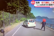 追い越し後急停車、威圧感抜群の歩き方で近づき罵声「ここはおまえの道路かコラ」