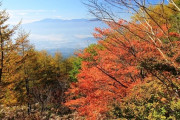 【小諸市】高峰高原で楽しむ！初心者向けの絶景紅葉ハイクコース