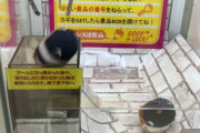 グレーゾーン『クレーンゲーム』、商品をゲットできる裏技を見つけてトレンドに