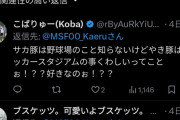 【悲報】サッカーファン「なんでいつもサッカースタジアムだけ叩かれて野球場は叩かれないんだ？？？」