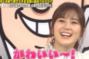 【乃木坂46】生田絵梨花って、関根勤にちょっと似てる