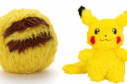 『ポケモン』毛玉を洗うとピカチュウ に変身！洗って元の姿に変身する「WHO are YOU?」シリーズの新作登場