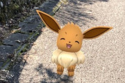 【ポケモンGO】うちの子可愛いシリーズ(イーブイ編)