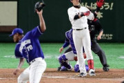 【野球】ゴールデンタイム中継増？プロ野球を見直す機会に  [本人の申出により訂正★]