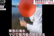 【悲報】汚染水問題、マジで海が核汚染されていたｗｗｗｗｗｗｗｗｗｗｗｗｗｗｗｗ