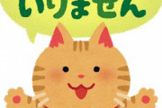 郵便局「助けて！年賀状が全然売れないの！なんでみんな年賀状出さないの？」
