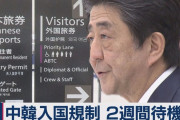 外国人「日本が中韓からの入国制限強化、2週間待機やビザ効力停止」