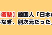 【衝撃】韓国人「日本のうなぎとラーメン、越えられない壁だった…」