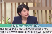 自民党、参院選にNPO代表・渡部カンコロンゴ清花氏を擁立→過去発言を掘られまくって大炎上中