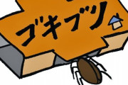 【悲報】ワイ、女友達の家で「あっ！ゴキブリだ！」と冗談を言ってしまった結果…