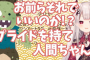 Vtuber 奈羅花「韓国人いい人いるからね？逆に日本差別主義すぎてキツイ」←これは神田が釣れてきそうだなｗｗｗ