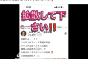 【悪質デマ】Xデマ垢(フォロワー4万)、小泉夫妻に関するとんでもないデマ動画を拡散　訴えられたら100％負けるやつ（スクショ）