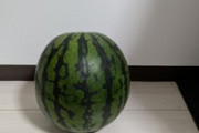 スイカ1個丸ごと貰ったけど…（※画像あり）
