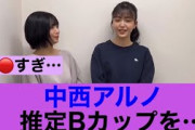 【いいの？】乃木坂46中西アルノのあるのが透け透け#ネットの反応