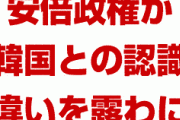 韓国政府「日本と知恵を出し合うことで合意した」　日本政府「そんなことは言ってない」　　またこのパターンかよ…