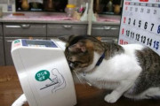 【画像】猫も健康管理には気を使っているようです。