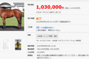 日本を代表する血統牝馬が100万で落札される