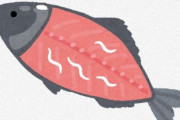 日本の魚の生食でまたアニサキスにやられる事件、なぜそうまでして生魚を食べるのか？