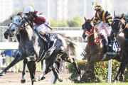 【JC＆有馬が形骸化】香港国際競争　今年も日本馬が大量登録