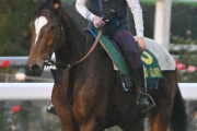 【ジャパンカップ】外国馬グランドグローリー JCを最後に引退　社台ファームで繁殖入り