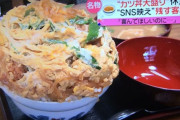 【悲報】インスタ映えが群がり甲子園の大盛りカツ丼販売中止に・・・
