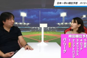 袴田彩会(楽天ファン)さん、正月から楽天を優勝予想