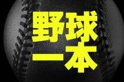 ダ・ゾーン「月々2300円でプロ野球見放題」野球ファン「高すぎる！！」